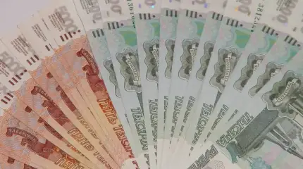 Тревога в ЕС: русские березки завоевывают Европу