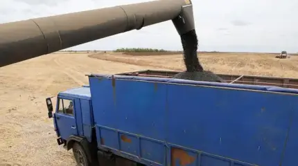Конфликт в Иране — это семечки. Кто выиграет от роста цен на продовольствие