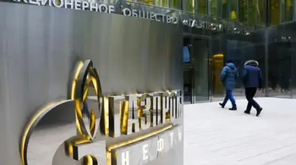Полстраны могут быть акционерами Газпрома, но что-то им мешает
