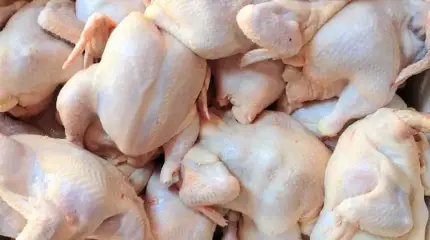 Эпоха доступного мяса бройлеров в РФ подходит в концу