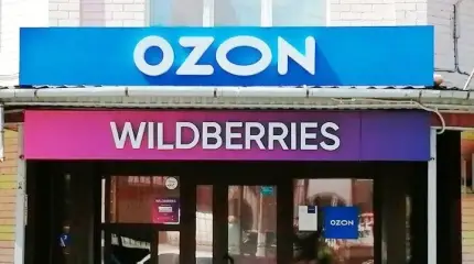 Крым – полуостров для смелых маркетплейсов. Wildberries и Ozon не сдюжили