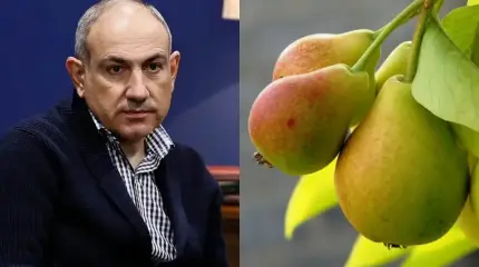 Пашинян предложил ЕАЭС «хороший шанс»