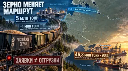 Пять миллионов тонн заявок: как перестраивается зерновой экспорт