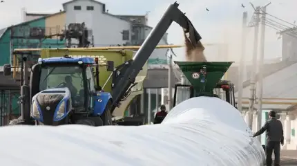 Зерновая катастрофа: России впору жечь пшеницу в котельных