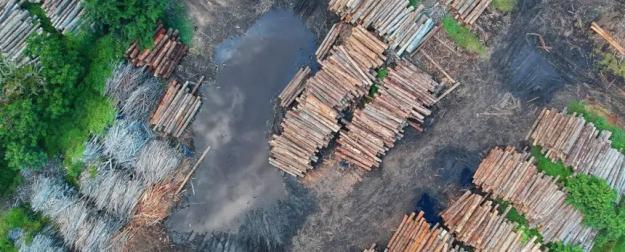 Деньги на ветер: ключевой способ спасения человечества оказался опасным