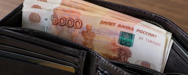Бюджет под вопросом: россияне раскрыли планы по увеличению своих доходов