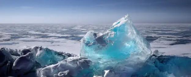 Лес под топор ради инфраструктуры: экологи проиграли битву за Байкал