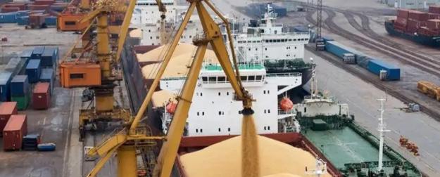 «Абсолютный рекорд»: раскрыли объемы экспорта зерна с Северо-Запада РФ