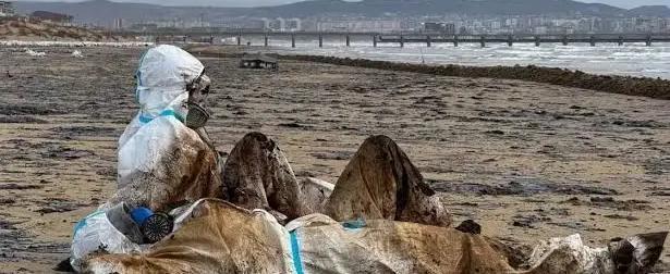 Последствия экокатастрофы: Анапа вычеркнута с карты лета 2025 Последствия экокатастрофы: Анапа вычеркнута с карты лета 2025