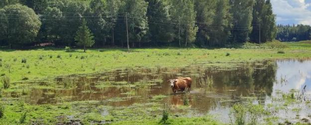 Латвийские военные не дают развивать энергетику в Латгалии Латвийские военные не дают развивать энергетику в Латгалии