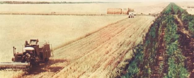 «Сталинский» план спасения природы: отменён, но не забыт