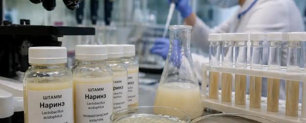 Секрет СССР всплыл спустя век: бактерии из Петербурга покоряют Китай