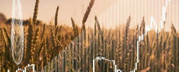 Страны БРИКС запустят зерновую биржу