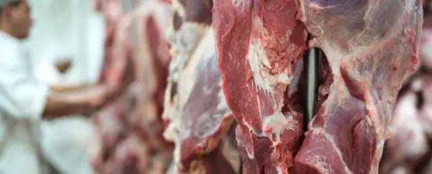 Всё полезно, что в рот полезло: в РФ стали чаще заменять говядину на аналог