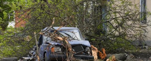 Дерево упало на автомобиль: юрист раскрыл схему взыскания ущерба