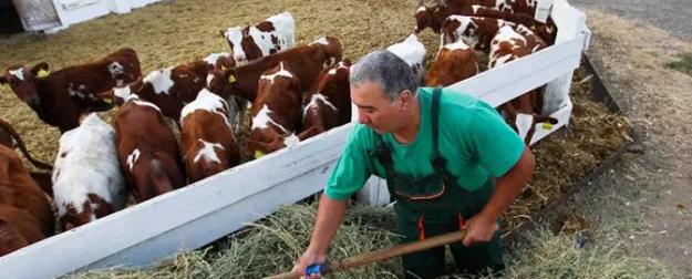 Фермеров предупредили: Год будет тяжелым, денег в бюджете нет