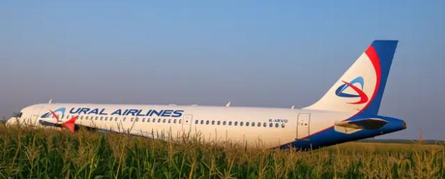 «Пролетай, птица»: МАК раскрала правду о самолёте на кукурузном поле