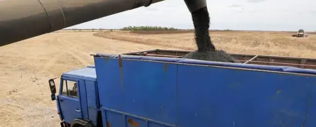 Конфликт в Иране — это семечки. Кто выиграет от роста цен на продовольствие