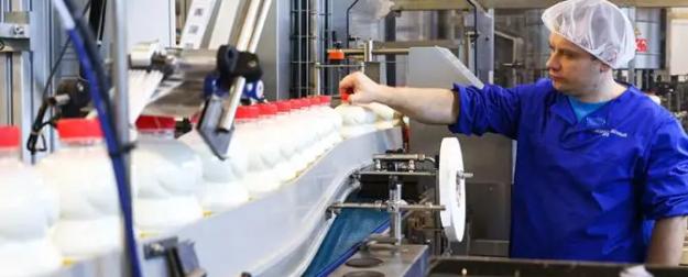 Минсельхоз отчитался о рекордных надоях. Куда утекают молочные реки