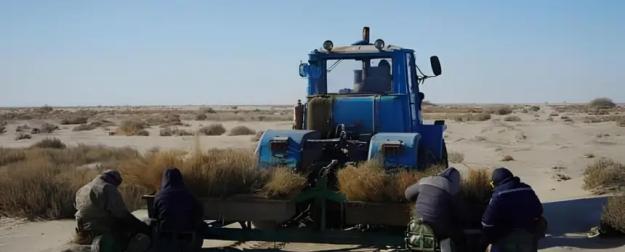 Мелиорация вместо переброски рек: реальный путь решения проблемы Арала