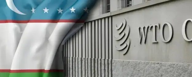 Узбекистан между ВТО и ЕАЭС: чья возьмёт?