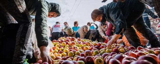 Курс на самоубийство: Экспорт рухнул почти в 5 раз
