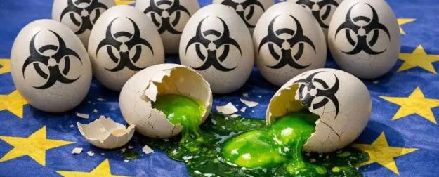 В украинских яйцах обнаружены следы антибиотиков и пестицидов