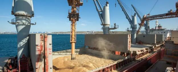 Россия и глобальная торговля зерном: что изменилось и чего ждать в 2026 г.