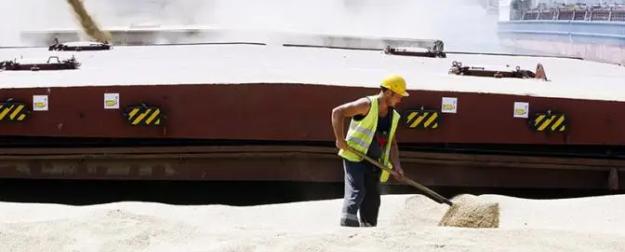 «Ця пшеныця наша!»: Украина обвинила Израиль в скупке «украденного» зерна