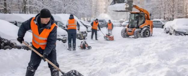«Не жалуйтесь на снег!»: в ГД объяснили, почему дворников станет ещё меньше