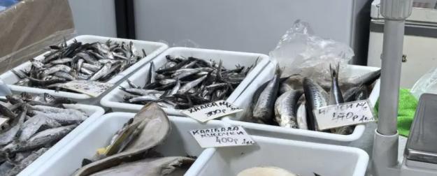 СВО и дикие цены на топливо. Крым остался без рыбы