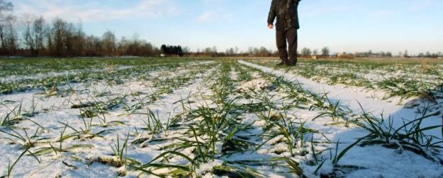 Дефицит удобрений на Украине грозит снижением будущего урожая