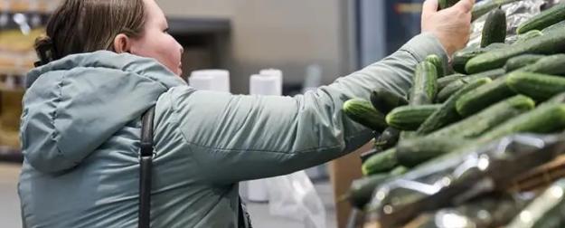 Стало понятно, почему огурец продается по 1000 рублей за килограмм