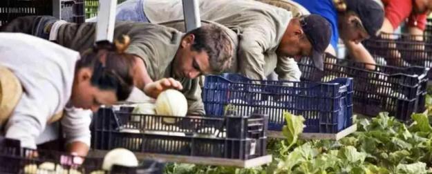 Польша подсчитывает выгоду от войны на Украине