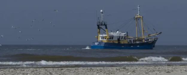 Россия открыла двери своим рыбакам в атлантические воды Марокко
