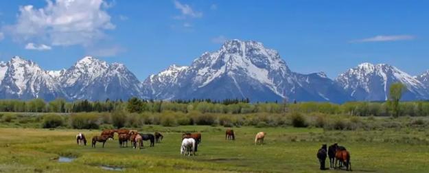 Власти РК возвращают земли в госсобственность. Всегда ли оптимально?