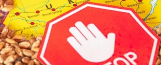 NZZ: Европейские фермеры в выигрыше – ЕС вновь вводит квоты для Украины NZZ: Европейские фермеры в выигрыше – ЕС вновь вводит квоты для Украины