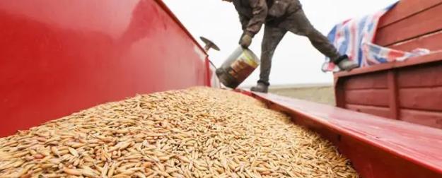 Российских фермеров душат постепенно