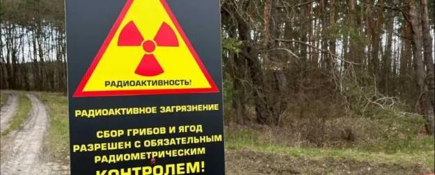 Белоруссия успешно справляется с последствиями Чернобыльской аварии Белоруссия успешно справляется с последствиями Чернобыльской аварии