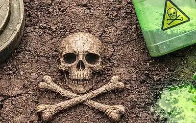 Западные ТНК уничтожили знаменитые черноземы Украины