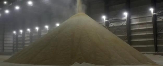 Китай подчинился и за месяц скупил в США 12 миллионов тонн сои