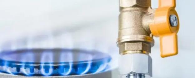 Только он сможет помочь: жители Ленобласти без газа пошли на крайние меры Только он сможет помочь: жители Ленобласти без газа пошли на крайние меры