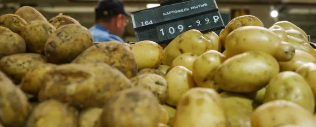 Нашу картошку просто не пускают в магазины: Отечественное под запретом?