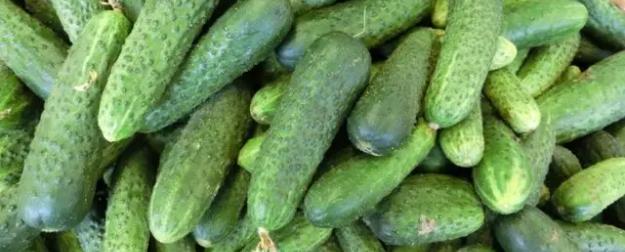 «Огурцыгейт» набирает обороты: эксперты рассказали, когда рухнут цены