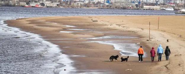 Чтобы дать воду Донбассу, придется все левобережье Днепропетровской области