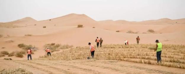 Межрегиональная группа «ЦА – Россия» бросает вызов опустыниванию