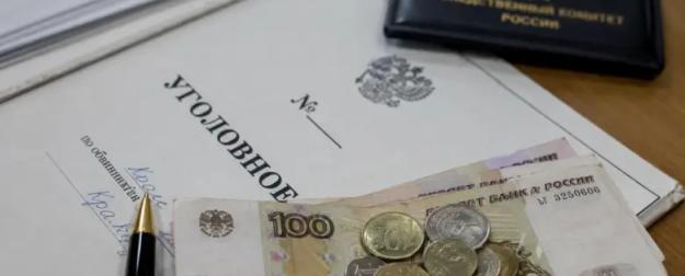 Обманула государство? Самозанятая попала под уголовку из-за 168 рублей