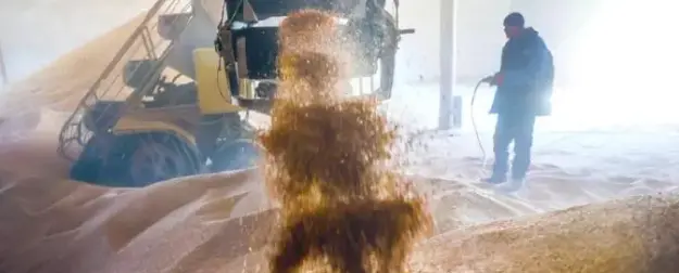 «Путин над нами издевается»: Российская пшеница стала новой нефтью