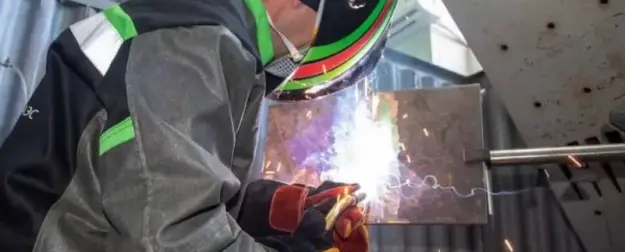 Новая Россия учит ремонтников для ЗАЭС и восстанавливает леса