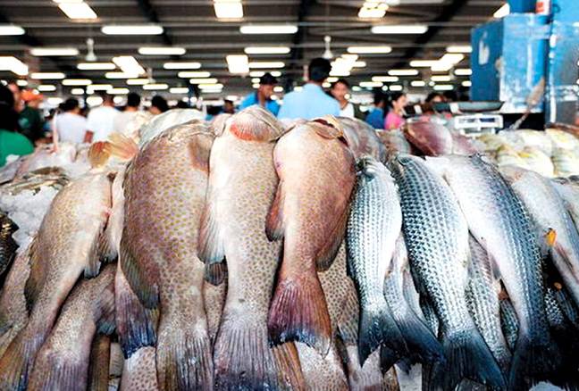Работа рыбной биржи на Сахалине набирает обороты